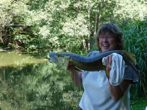 Angelurlaub - Angeln auf Hecht, Zander, Karpfen an der Schwarzach