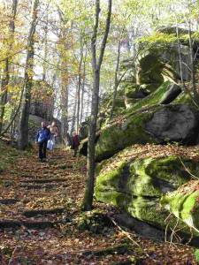 Wandern im Naturwaldreservat Schwarzwihrberg