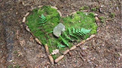 Naturerlebnistag für Kinder