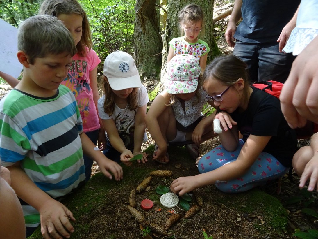 Naturerlebnistag für Kinder Naturerlebnistag für Kinder