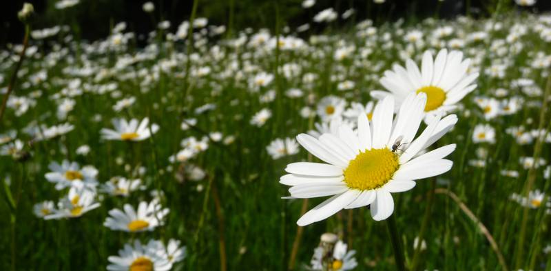 Natur entdecken im Murnthal