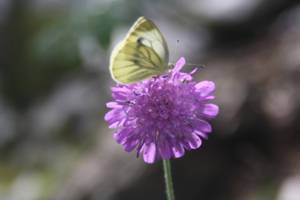 Naturerlebnistag für Kinder