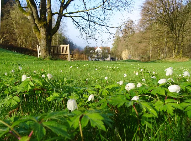 Parkartiger Garten am Fluss