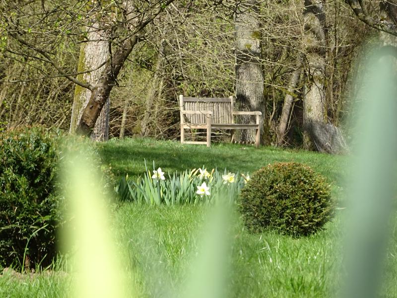 Parkartiger Garten am Fluss