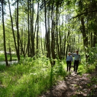 Wandern im Schwarzachtal