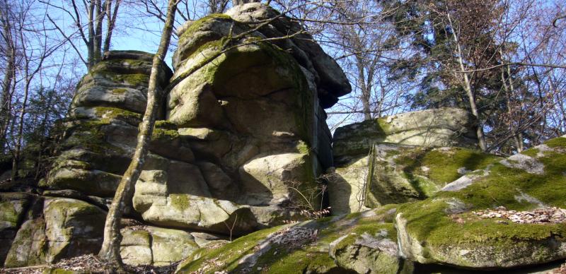 Wanderspaß im Oberpfälzer Wald Felsen Wasser Moore