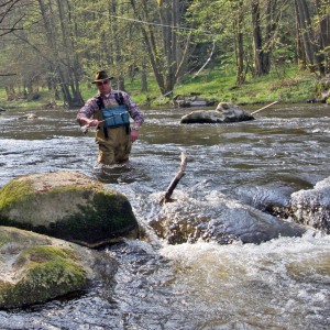 Angeln an der Schwarzach Spinnfischen Fliegenfischen Angeln auf Hecht Zander Karpfen Quappen Braxen Forellen Aal und Weißfische