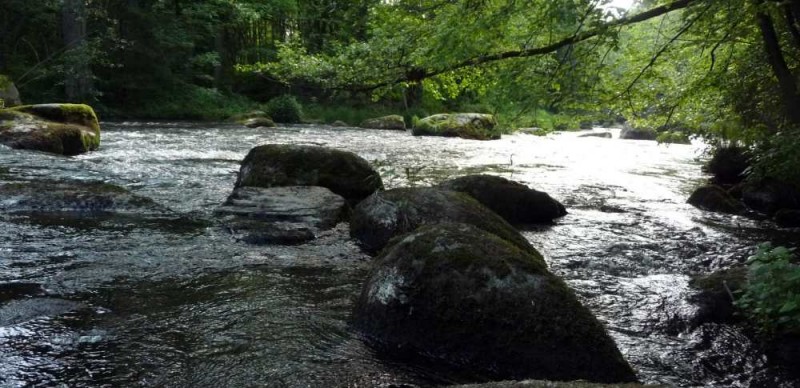 Die Schwarzach im Murnthal ein fischreicher Fluss in Bayern im Oberpfölzer Wald nahe dem Eixendorfer See ideal zum Fischen