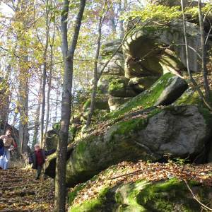 Wandern im Naturpark Oberpfälzer Wald und Bayerischen Wald Ferienappartements in Wanderregion am Wanderweg Goldsteig gelegen herrliche Landschaft mit Wasser und Wald Burgen und Ruinen, Felsen und Moore