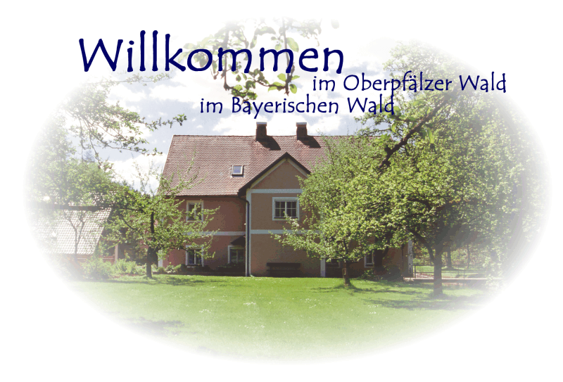 Willkommen im Oberpfälzer Wald !